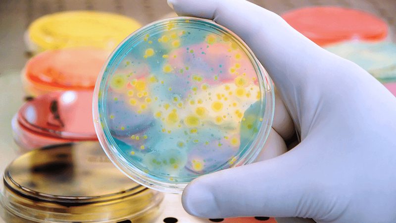 科研生物试剂采购，如何避免陷入误区？**