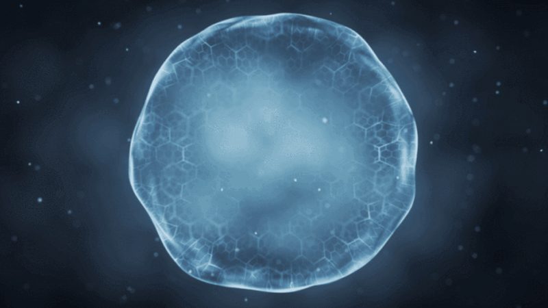生物医药外包项目文档管理：合规与效率的双重保障**