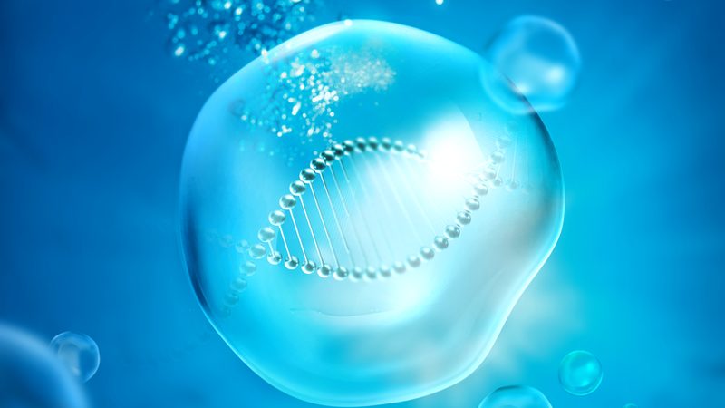 生物医药外包项目管理办法审计要点解析