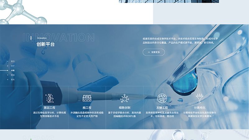 上海CDMO公司资质：揭秘合规背后的关键要素