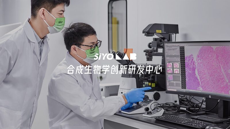 生物科技面膜与中药面膜：成分差异与功效解析**