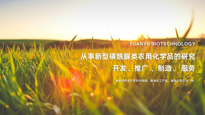 CRS优化：提升生物制药研发效率的关键策略