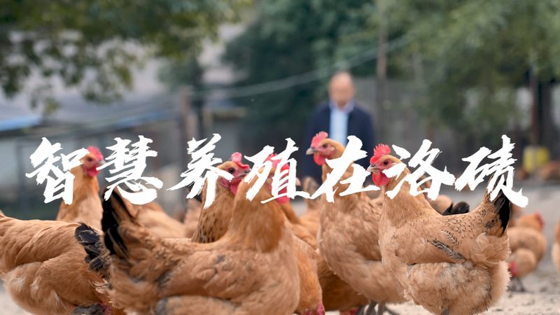 CRS优化：揭秘生物制药研发中的关键步骤