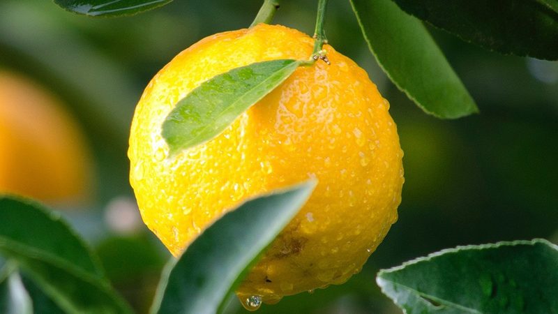 分子生物学试剂批发流程揭秘：从源头把控品质