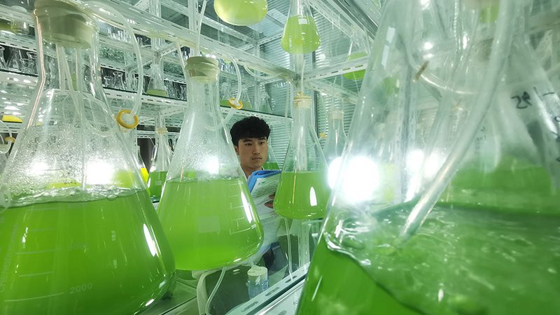 医药研发，如何挑选靠谱的生物科技公司？**